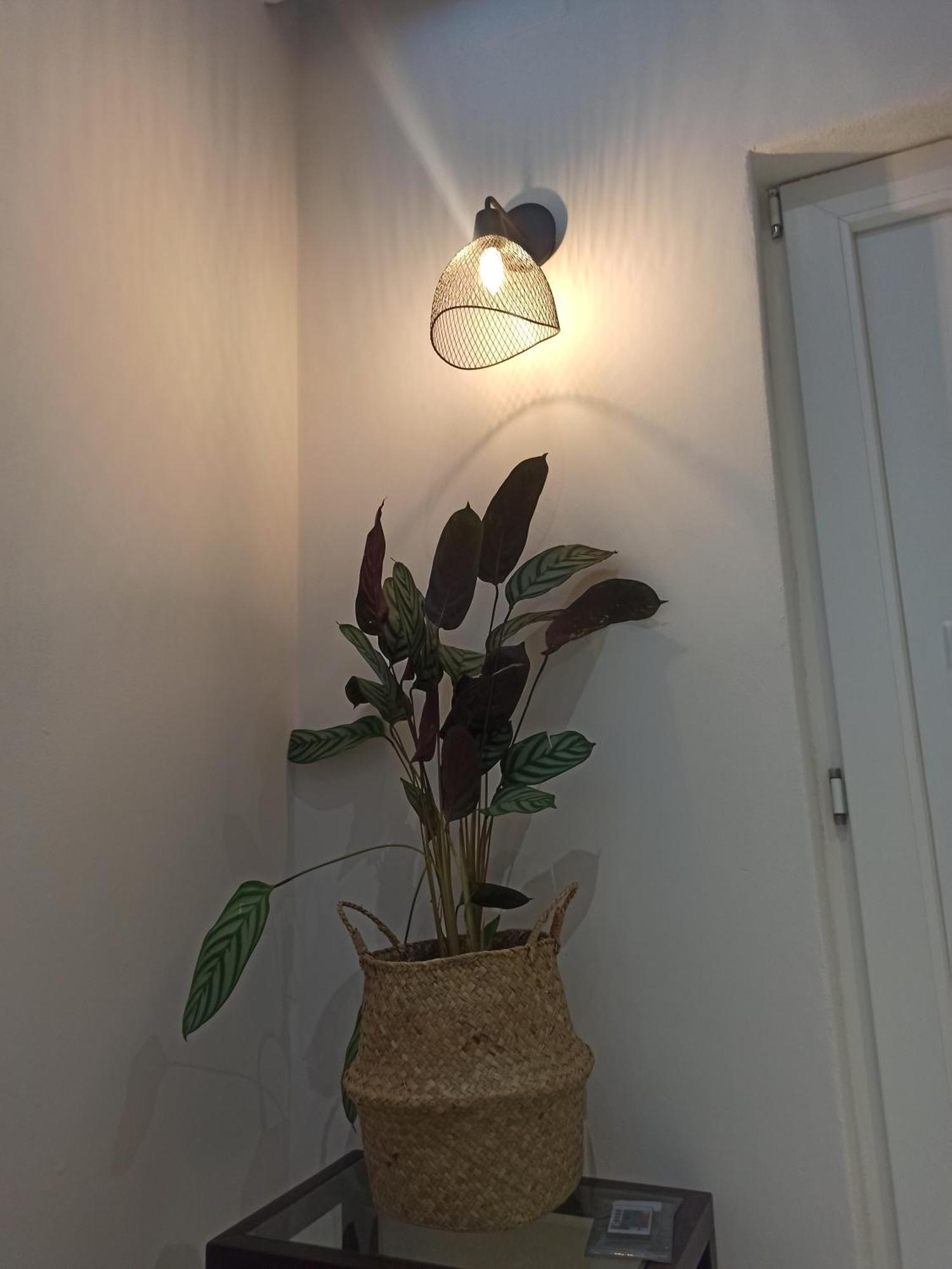 Konstantina'S Apartment 亚历山德鲁波利斯 外观 照片