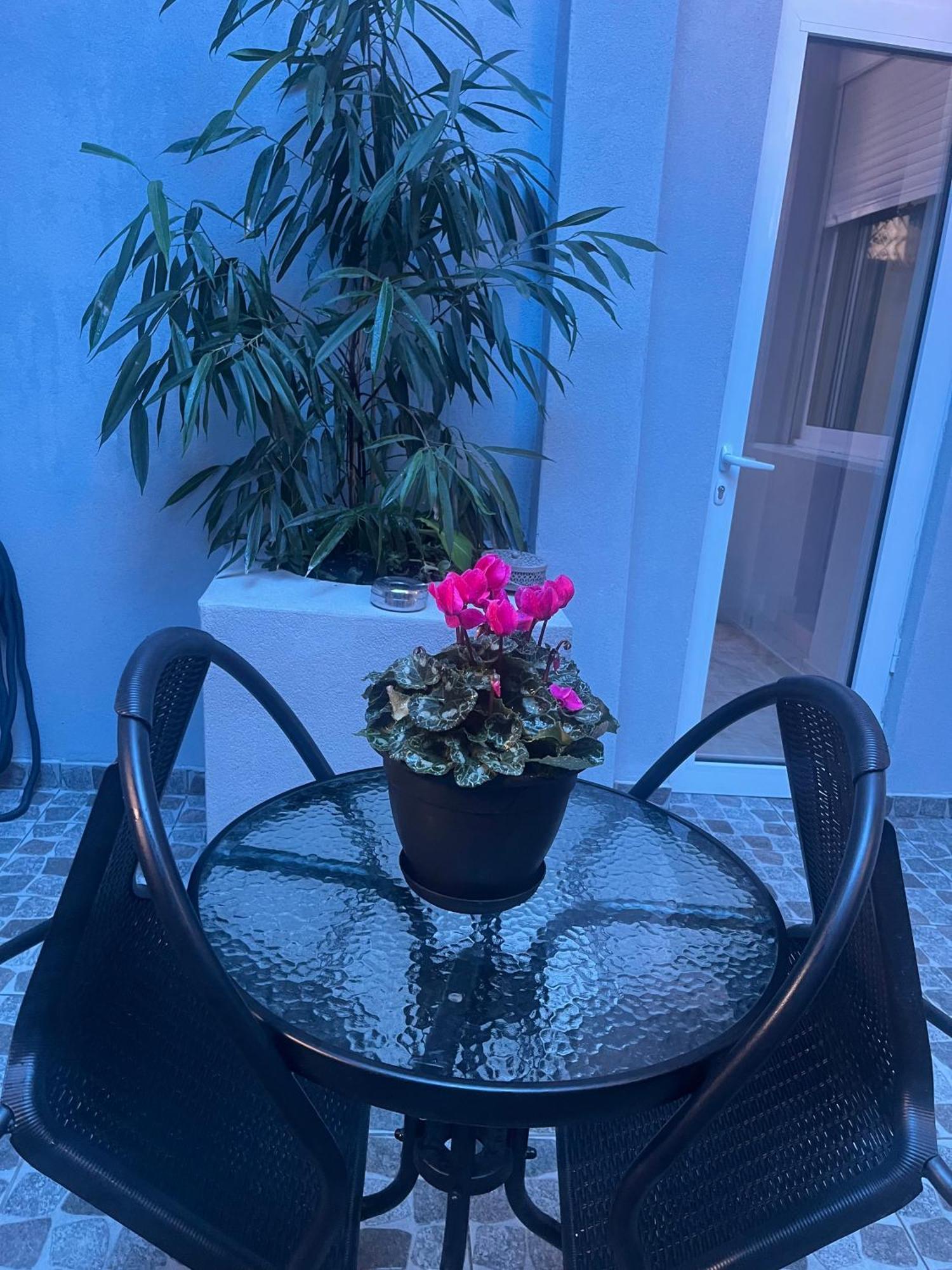 Konstantina'S Apartment 亚历山德鲁波利斯 外观 照片